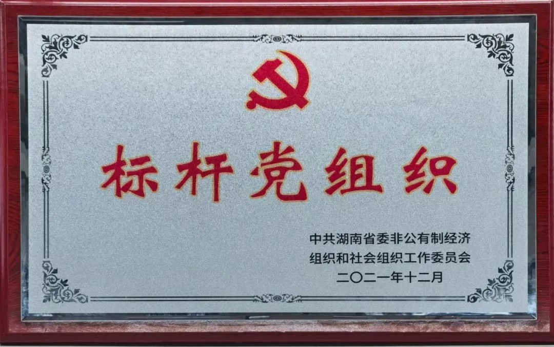 党建品牌亮起来！！2138cn太阳集团城智能党委获评“标杆党组织”