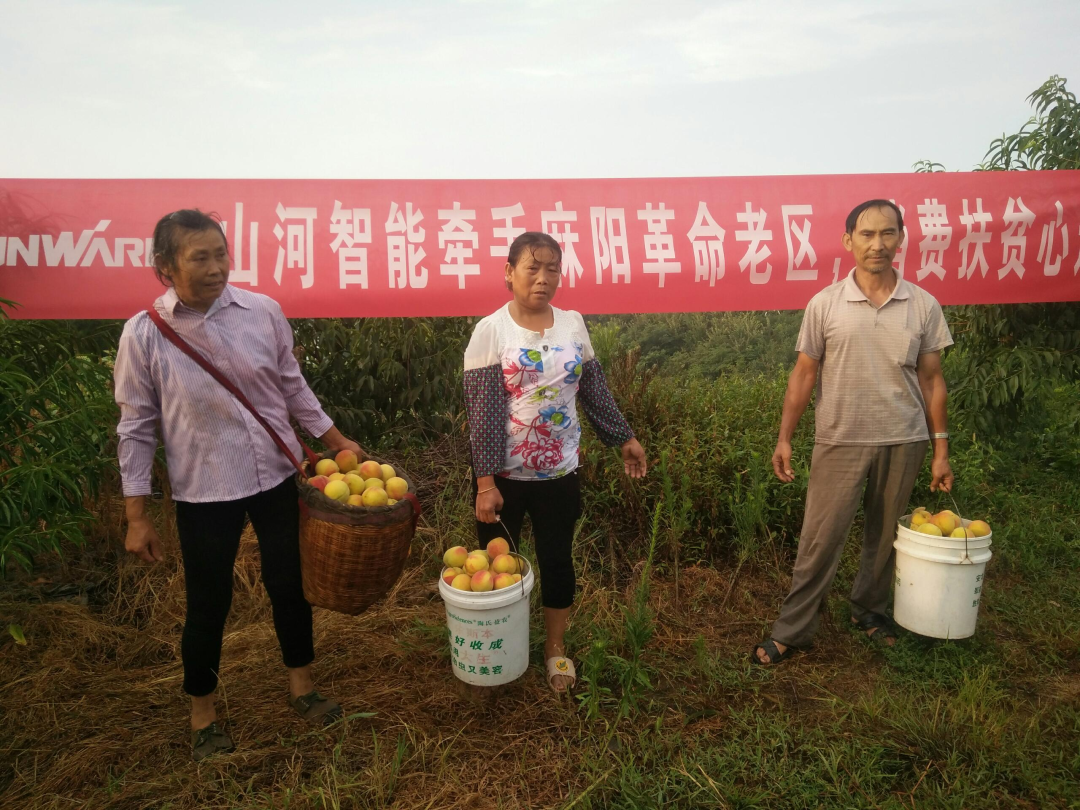 点赞！！2138cn太阳集团城智能成功入选“上市公司村落振兴优良实际案例”