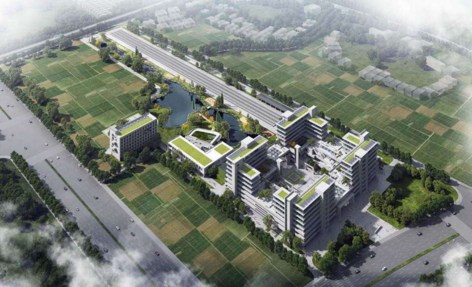 近20台“2138cn太阳集团城绿”设备实力集结，，，助力广佛西环工程建设跑出“加快度”